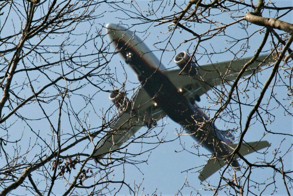 Grüne: Kein Nachtflugbetrieb aus rein betriebswirtschaftlichen Interessen