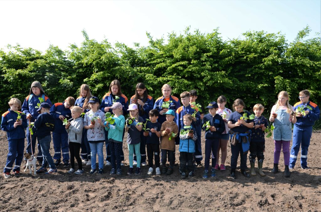 Kürbisverein Osterwald pflanzt mit Kindern   Kürbissetzlinge