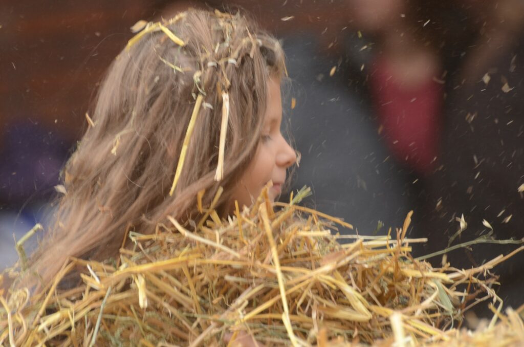 Traditionelles Kartoffelfest auf Ammanns Hof