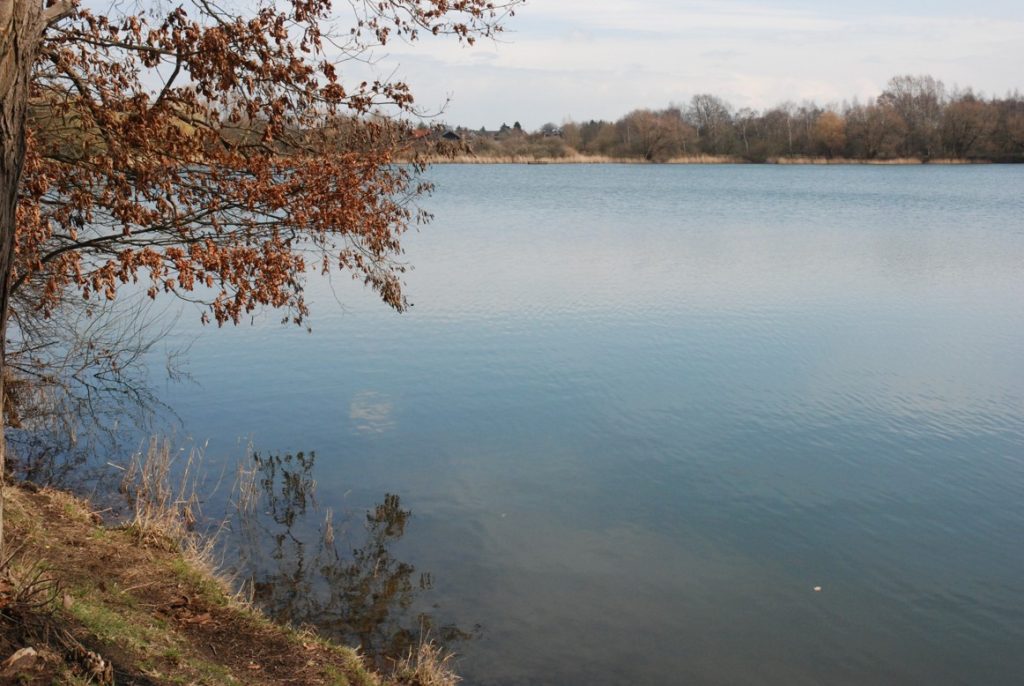 Berenbosteler See: Wanderparkplatz wegen Sanierung des Fußwegs gesperrt