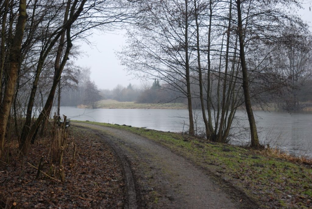 Regenrückhaltebecken: Zäune werden erneuert