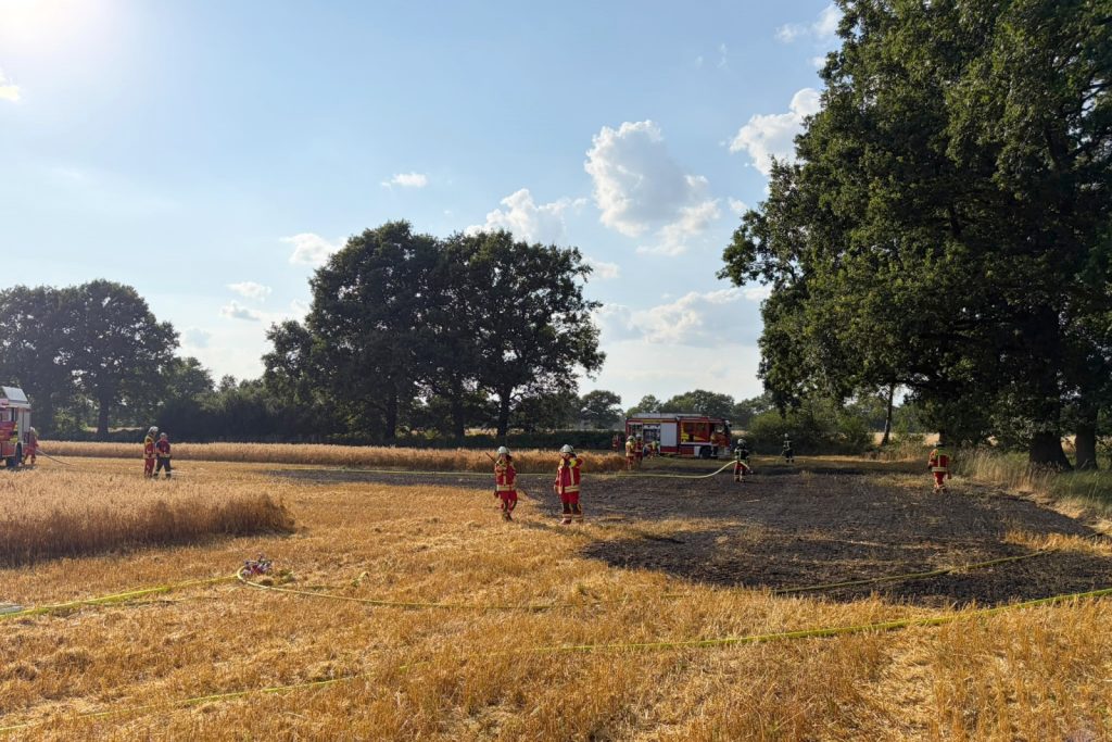 Stoppelfeldbrand in Osterwald
